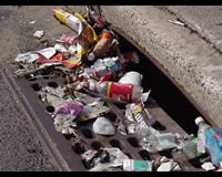 Helsinki trash cans to thank bin users for not littering