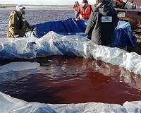 Russia struggles to clean up Arctic river fuel spill