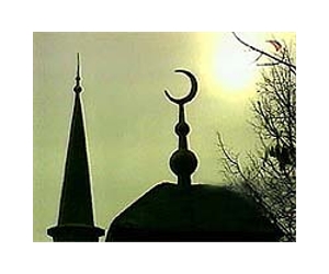 Pentagon lists mosques where Al Qaeda recruited: WikiLeaks