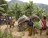 Rainforest dwellers caught between business, green groups