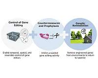 Safe Genes Tool Kit Takes Shape