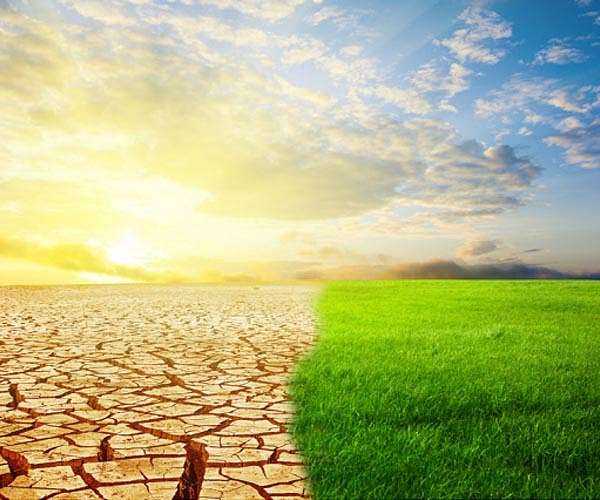 Rain in the Sahara? UIC researchers predict a wetter future for the desert