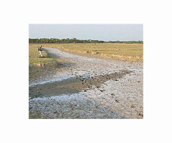 India's desert salt farmers feel the heat from climate change