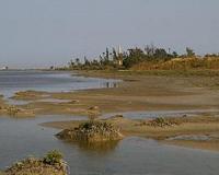 Scientists warn that saline lakes in dire situation worldwide