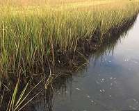 Estuaries are warming at twice the rate of oceans and atmosphere