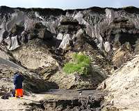 Siberian region fights to preserve permafrost as planet warms