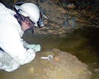Active Control Unveils Starfish Feature For ActiveMine Wireless Communications System