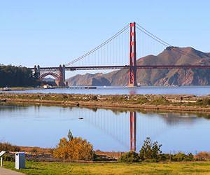 Bleak future for Bay area tidal marshes?