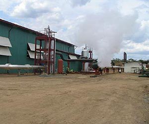 Developing Countries Can Cut Greenhouse Gas Emissions And Help The Poor
