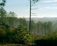 US national forests and grasslands could yield less water in future climate