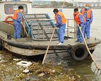 Huge strides in global water and sanitation: UN