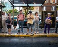 Chaos is an inherent part of city traffic