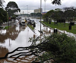 12 dead in torrential Brazil rains: officials