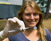 Charge transport in hybrid silicon solar cells