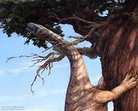 Newly described fossils could help reveal why some dinos got so big