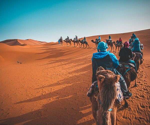 Crunch time for Saudi-hosted drought, desertification talks