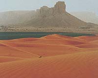 Scientists Find First Dinosaur Tracks On Arabian Peninsula