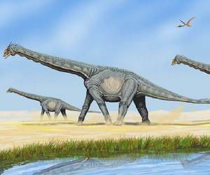 New study reveals North America's biggest dinosaur