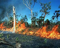 Australia bushfire survivors tell of escaping fire from hell