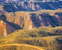 Savannahs slow climate change