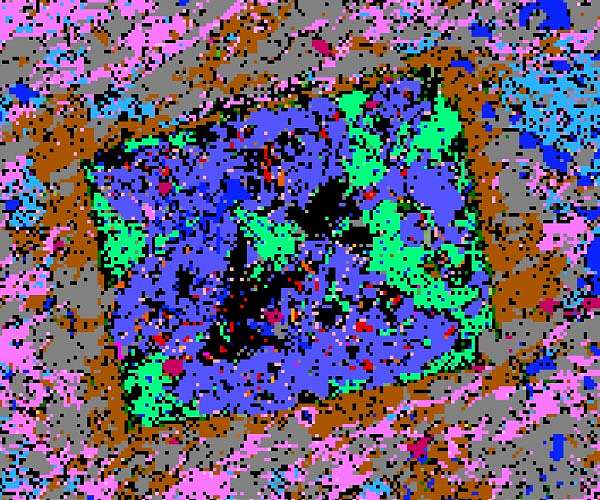 Artificial intelligence can boost power, efficiency of even the best microscopes