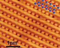 2-D material's traits could send electronics spinning in new directions