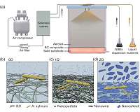 Aerosol-assisted biosynthesis strategy enables functional bulk nanocomposites