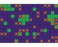 Designing switchable electric and magnetic order for low-energy computing