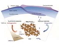 Oxygen-excess oxides in Earth's mid-mantle facilitate the ascent of deep oxygen
