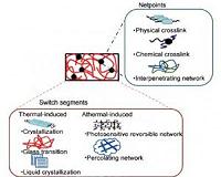 New self-stretching material developed at University of Rochester