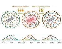 Making a transparent flexible material of silk and nanotubes