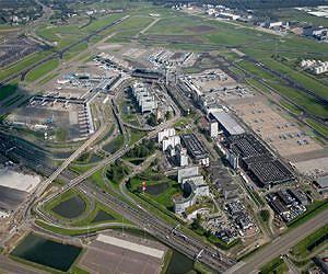 Dutch plan to gas troublesome airport geese