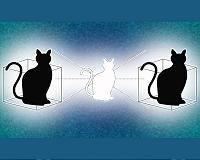 Cats use simple physics to zero in on hiding prey