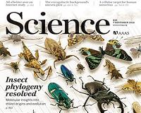 Natural disasters can decimate insect, invertebrate populations