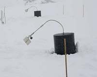 Scientists directly observe living bacteria in polar ice and snow