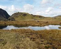 Scotland pressed to exploit onshore oil and gas reserves