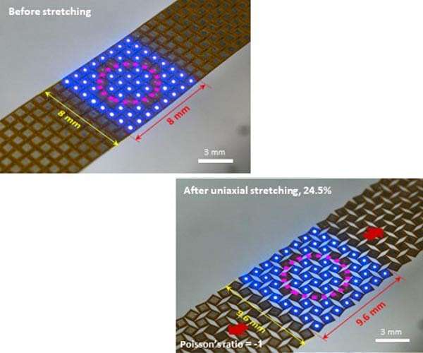 The development of the world's first distortion-free stretchable micro-LED meta-display technology