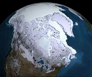 Sea ice loss major cause of Arctic warming: study