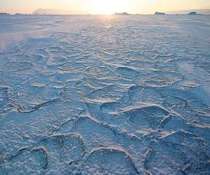 Model provides successful seasonal forecast for the fate of Arctic sea ice
