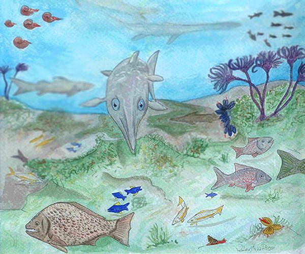Biodiversity hypothesis called into question