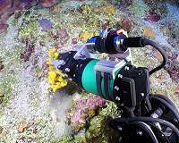 Deep-sea marine sponges may hold key to antibiotic drug resistance