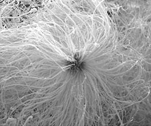 Accidental nanoparticle discovery could hail revolution in manufacturing