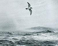 SSTL demonstrates new ocean winds and waves measuring method