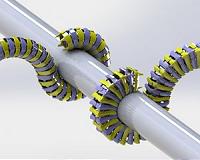 Why the seahorse's tail is square