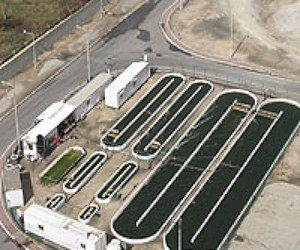 Boeing And Chinese Energy Officials Announce Sustainable Biofuel Initiatives