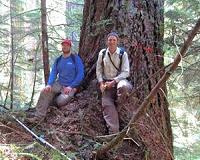 Size and age of plants impact their productivity more than climate