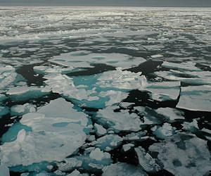 Slovenian flyer embarks on eco-friendly trip to Arctic