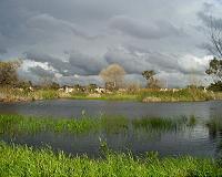 Study shows wetlands provide landscape-scale reduction in nitrogen pollution