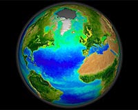 Life on Earth: Quicker start than thought?