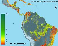 Indigenous peoples, key to saving forests, catch a break